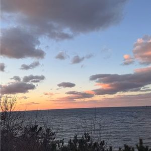 Meet your Posher, Irene